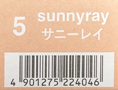 ＣＳＩアドミオ ５サニーレイ