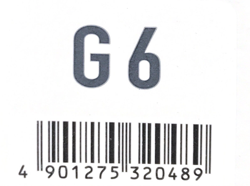 アジアン　フェス　Ｇ６