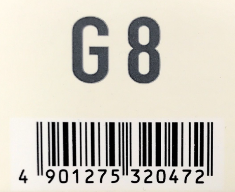 アジアン　フェス　Ｇ８