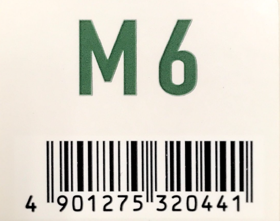 アジアン　フェス　Ｍ６