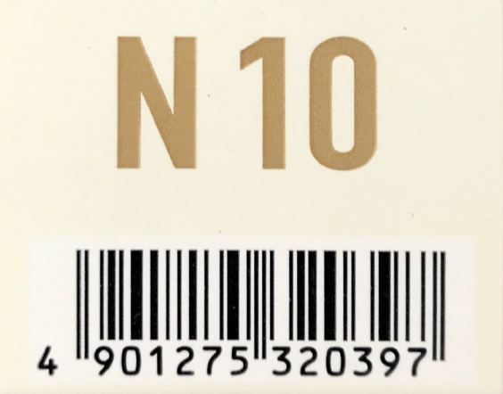 アジアン　フェス　Ｎ１０