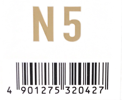 アジアン　フェス　Ｎ５