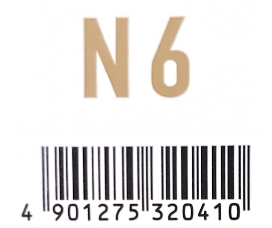 アジアン　フェス　Ｎ６