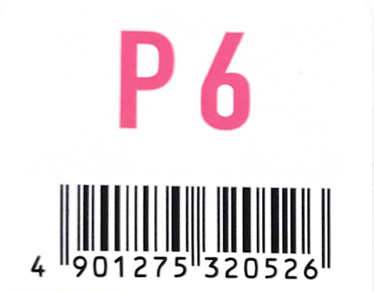 アジアン　フェス　Ｐ６