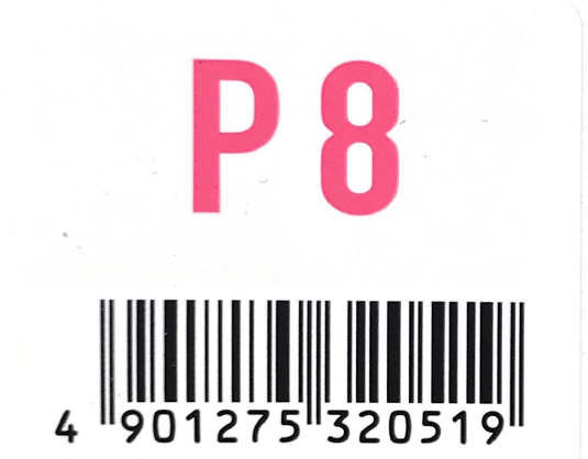 アジアン　フェス　Ｐ８