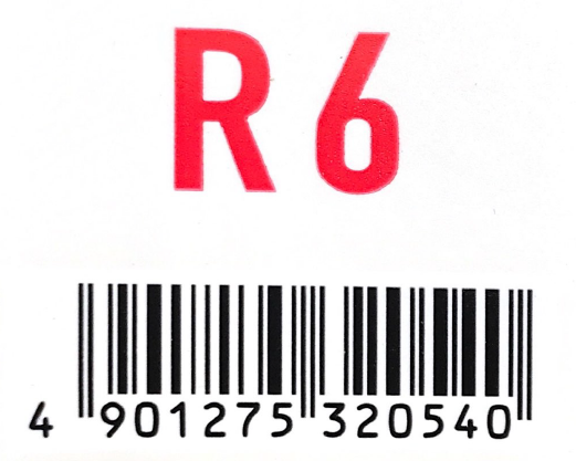 アジアン　フェス　Ｒ６