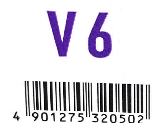 アジアン　フェス　Ｖ６