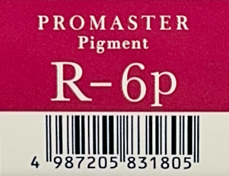 プロマスターピグメント　Ｒ－６Ｐ